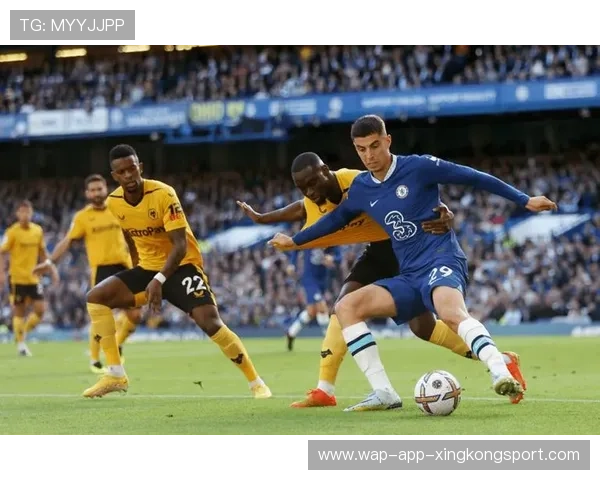 切尔西与狼队赛季中期对决分析狼队能否在关键时刻迎来转机 切尔西与狼队赛季中期对决分析狼队能否在关键时刻迎来转机