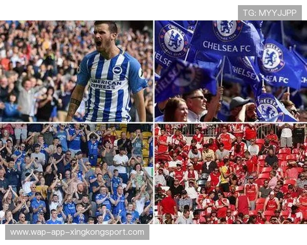 英超球迷流动与城市经济效益研究 英超球迷流动与城市经济效益研究