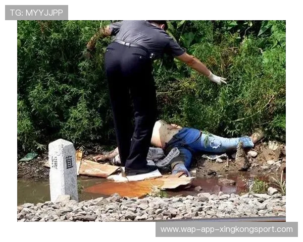 季票球迷为保护女孩在火车上被捅至重伤,森林老板负担费用,火车上的女孩 季票球迷为保护女孩在火车上被捅至重伤,森林老板负担费用,火车上的女孩